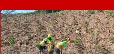 PT J Resources Asia Pasifik Tbk