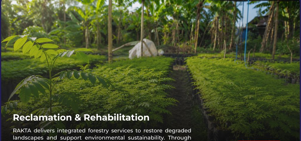 Reclamation & Rehabilitation